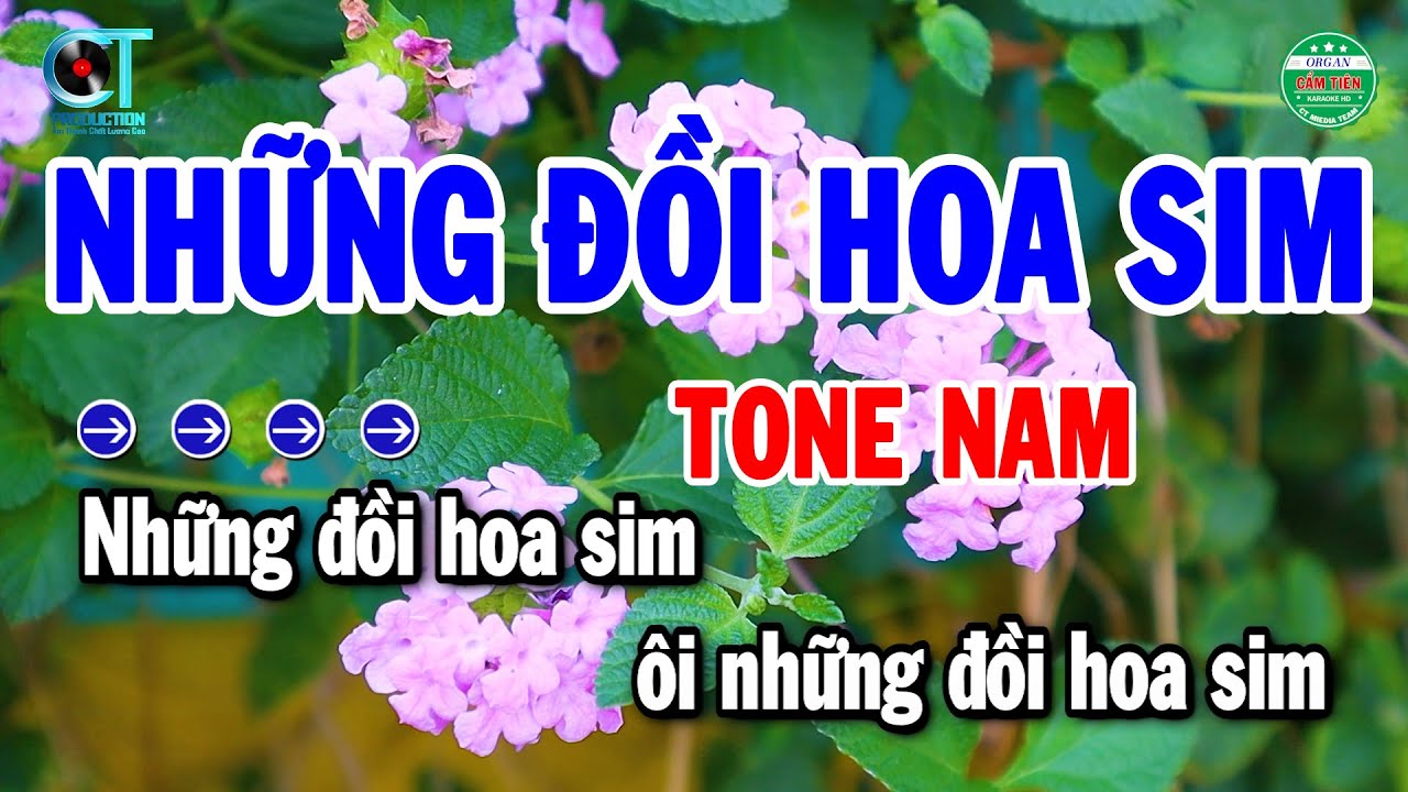 Karaoke Những Đồi Hoa Sim Tone Nam Nhạc Sống Beat Chuẩn | Cẩm Tiên Organ