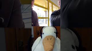 Unemployed Final Boss… 💀 #funny #omeglelaughs #memes #duet #comedy #twitch #clips #shorts #irish