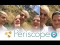 Superfruit Periscope - 2016/06/28