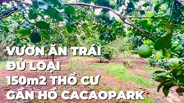 Cuối năm cần tiền trả nợ a chủ cần bán vườn cây ăn trái đủ loại có thổ cư gần hồ
