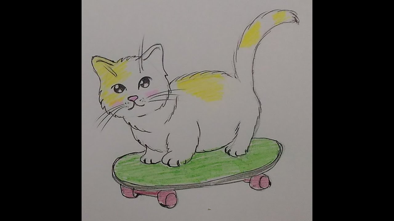 Котик на скейте рисунок