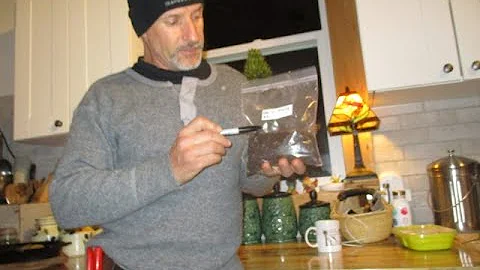 Palm seed germination using Baggy method