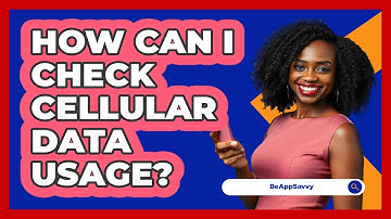 How Can I Check Cellular Data Usage?