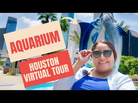 Vídeo: Um guia completo para o Downtown Aquarium de Houston