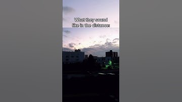 Thumbnail of Yamaha Music Sirens