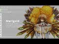 【Kasane Teto AI English】 Marigold 【SynthV Cover】