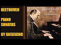 Miniature de la vidéo de la chanson Sonata No. 29 In B-Flat Major, Op. 106 "Hammerklavier": Ii. Scherzo. Assai Vivace - Presto - Prestissimo - Tempo I
