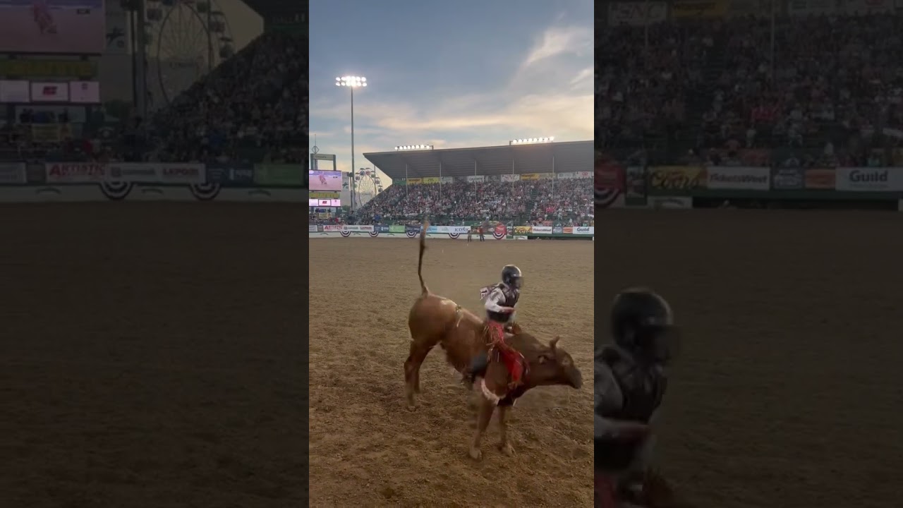 Watch Trey Holston with a 86 Pt ride at the Reno Rodeo #bullriding #rodeo on YouTube Watch Trey Holston with a 86 Pt ride at the Reno Rodeo #bullriding #rodeo on YouTube