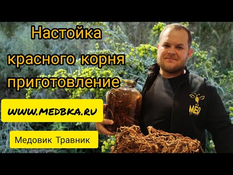 копеечник забытый / настойка красного корня приготовление / Медовик Травник /   www.medbka.ru