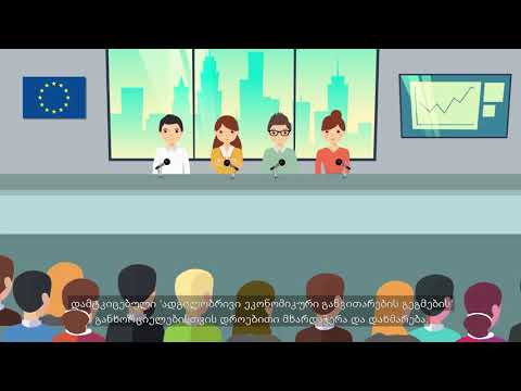 ინიციატივა \"მერები ეკონომიკური ზრდისთვის\" მოკლე ანიმაციური მიმოხილვა - ქართული სუბტიტრებით
