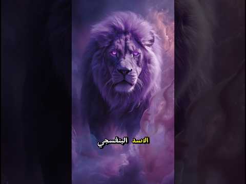 أقوى 5 أسود على وجه الأرض كل واحد بلون وقوة مختلفة حيوانات أسد معلومات  حقائق ومعلومات