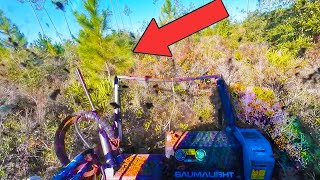 Clear Cut Cleanup in Florida Pines!