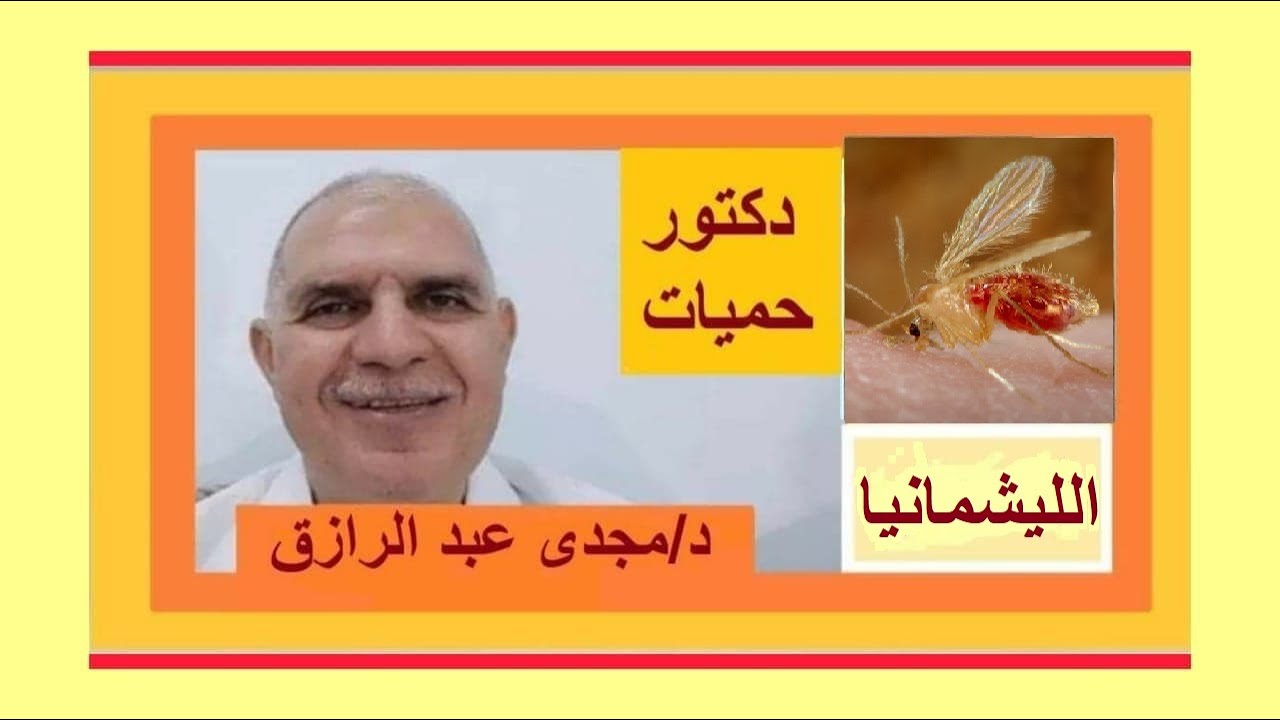 Лейшманиоз с длительной лихорадкой и увеличением печени и селезенки