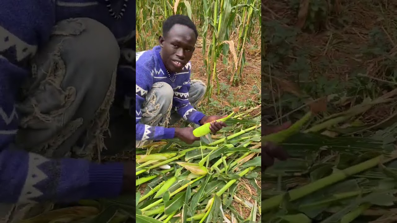 Story of magang part 2