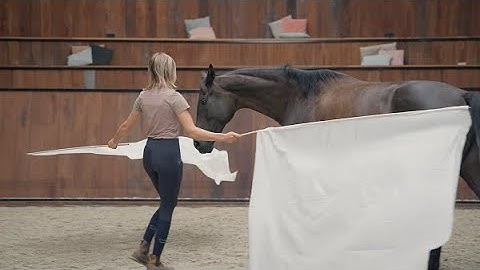 Liberty Training - Feather Light Academy