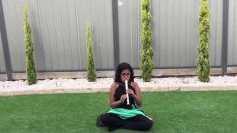 Happy( Pharrell Williams) recorder cover