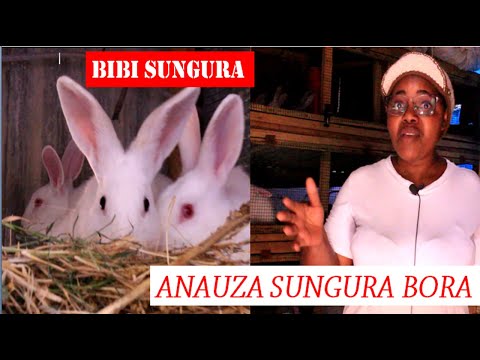 Video: Sungura Tano Kubwa Za Bunny