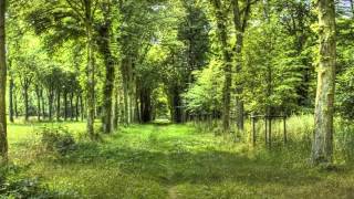 Sviatoslav Richter - Schubert - Piano Sonata No 9 in B major, D 575