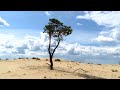 Тукуланы загадка Якутии