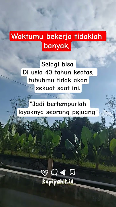 bertempurlah layaknya pejuang👌‼️#storywa #quotes #motivasi