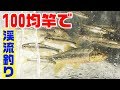 田舎の川で100均竿で釣る！ の動画、YouTube動画。