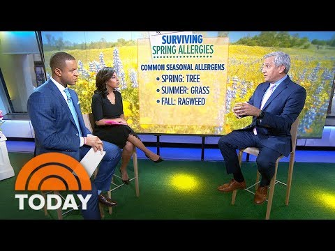 How To Survive Spring Allergies — And Prevent Them Before Symptoms Start | TODAY