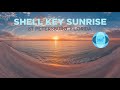 Walking the Shell Key Beach with Insta360