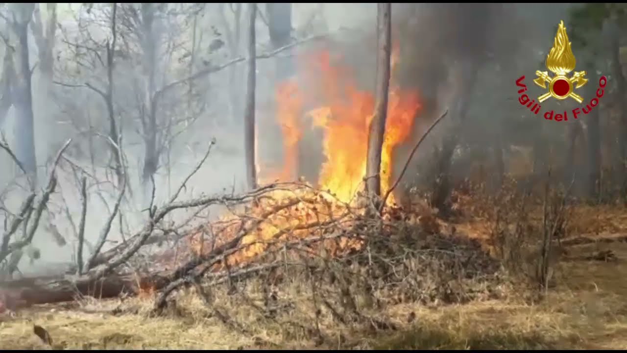 Incendio nei boschi a Somma Lombardo