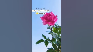 " قال رب إني ظلمت نفسي فاغفر لي فغفر له ..." تلاوة خاشعة ومؤثرة بصوت الشيخ ياسر الدوسري 🥺❤