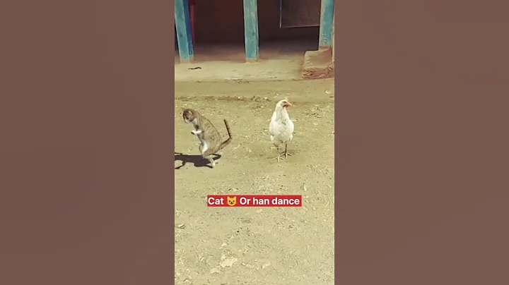 Watch the video about 👌😄funny dance for Cat dance 🤪👍#Shorts #funny #Short Video
