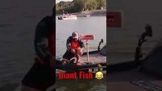 Giant Fish on Micro Rod and Reel #lol #funny #shorts #fishing #micro #microfishing