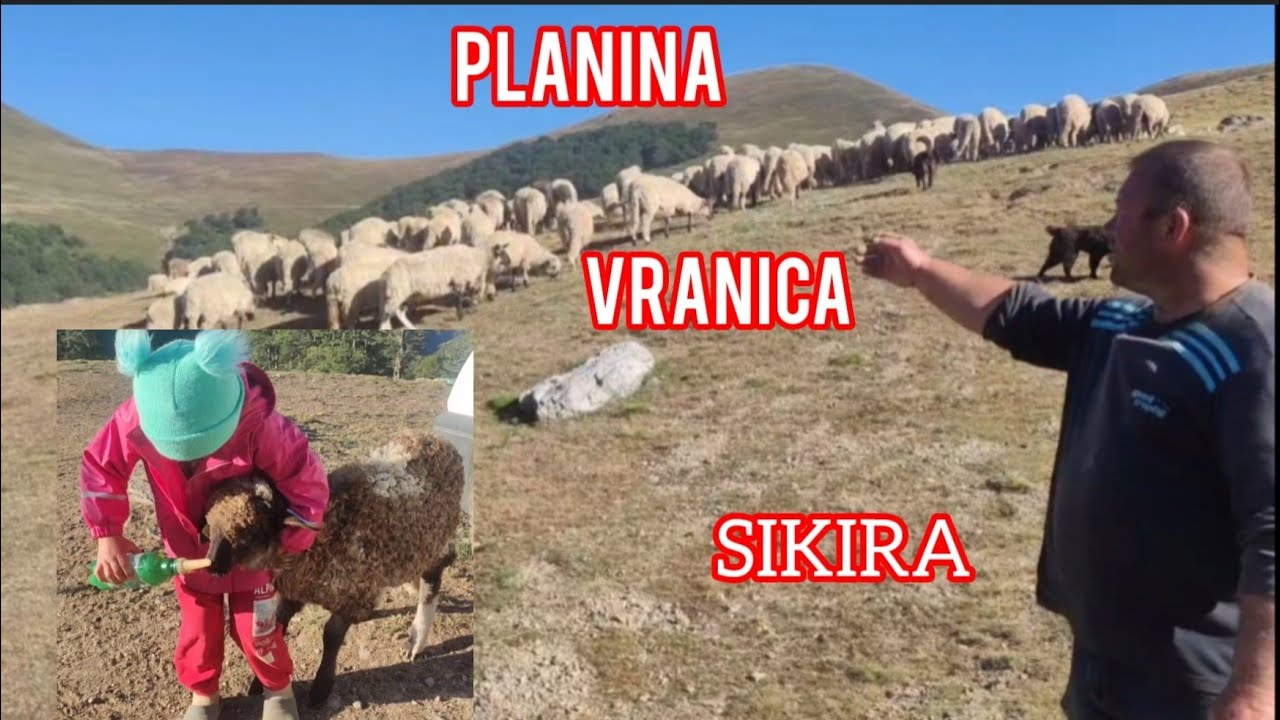 Vrijedne porodice s planine Vranice braća (Himzo i Avdo - Šesto Ćajlaković)