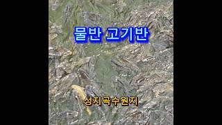 #성지곡수원지#물반고기반#초읍동