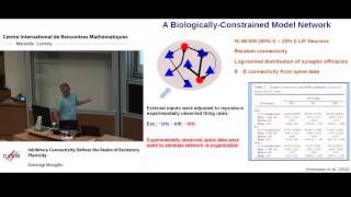 Gianluigi Mongillo - Menahem Segal : Still searching the engram: should we?