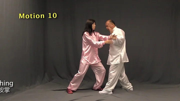 Form-Immersion Push Hands with Coach Zeng Xiang Bo...