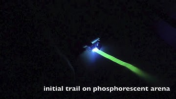 Antbots: A feasible visual emulation of pheromone trails for swarm robots.