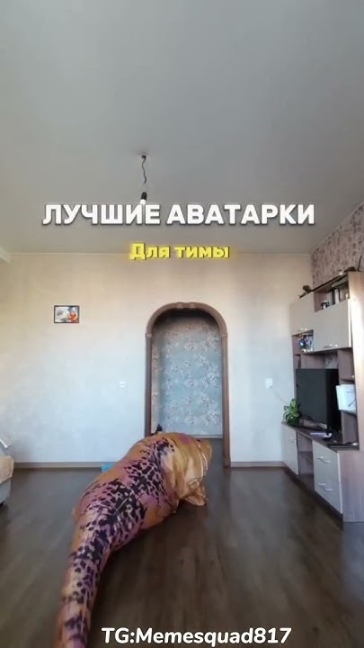 Авы:Для Тимы|#авы #аватарки #edit #мем #приколы #meme #memes #phonk ...