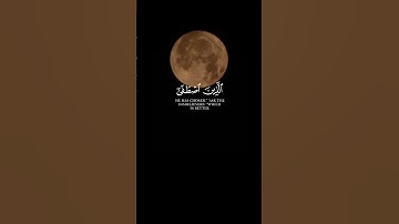 سورة النمل / ياسر الدوسري #الدين #المصحف #تلاوة_خاشعة