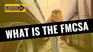 What Is The FMCSA 🚚 Fatalities Involving Large Trucks And Buses