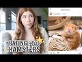 Rating your hamster pictures