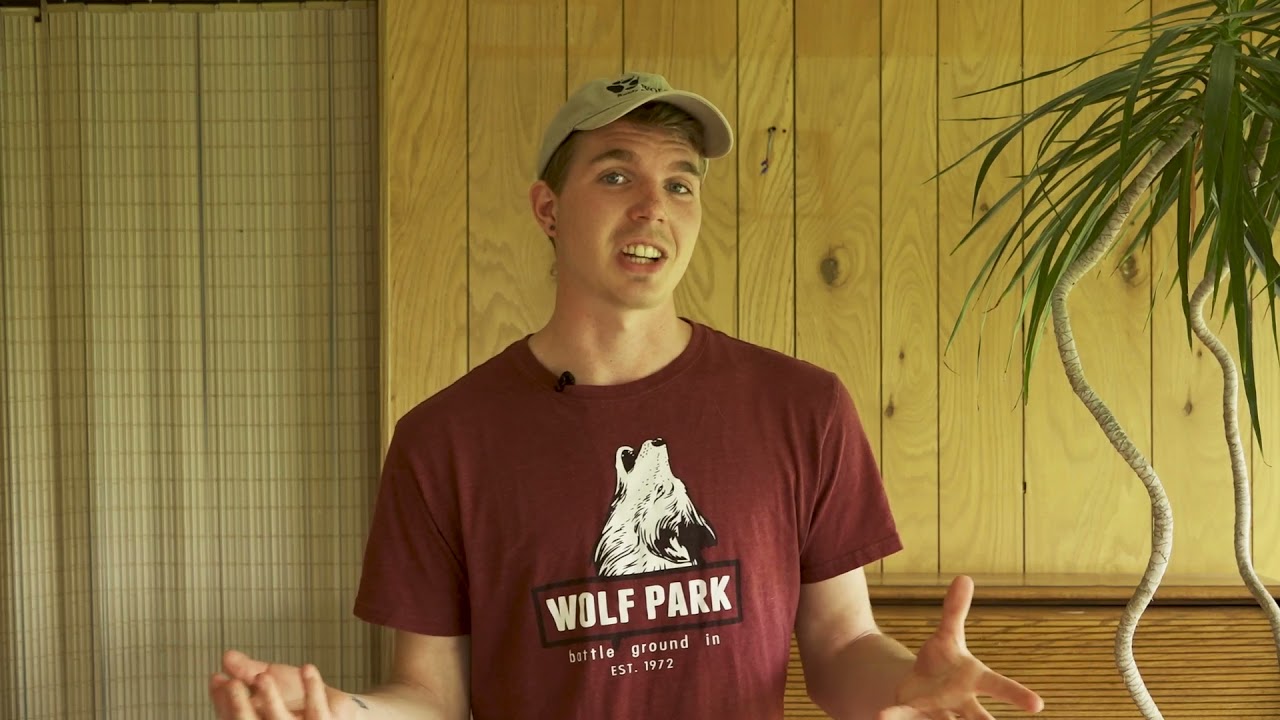 The Wild Side: Howl Like a Wolf