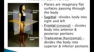 A&P Lab:  Chapter 2 Terminology