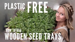 How to use wooden seed trays for plastic-free seed starting! by Regenerative Gardening with Blossom & Branch Farm 48,362 views 2 months ago 20 minutes