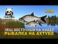 Лещ восточный на Фидер. Рыбалка на Ахтубе - Русская Рыбалка 4 #158