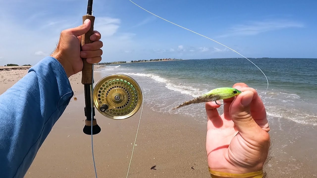 BIG Fish Eats This Little Fly From The Florida Surf - Biggest I've Ever  Caught On The Fly!!! 
