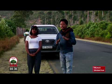 Filannoo Keessaan Bakka Hawwata Turizimii