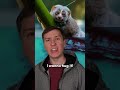 Animals You Should Not Hug (Even though you really want to) #funny #memes #animalfacts