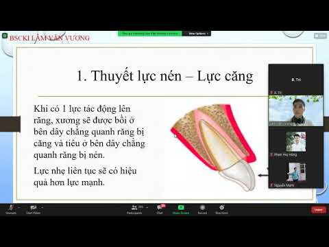 Video: Điều gì kiểm soát độ xốp của vật liệu?