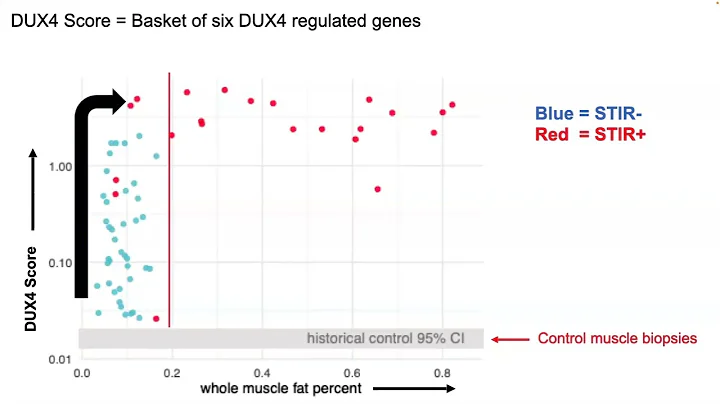 Research Update 2024