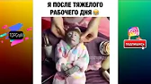 TOPGraM